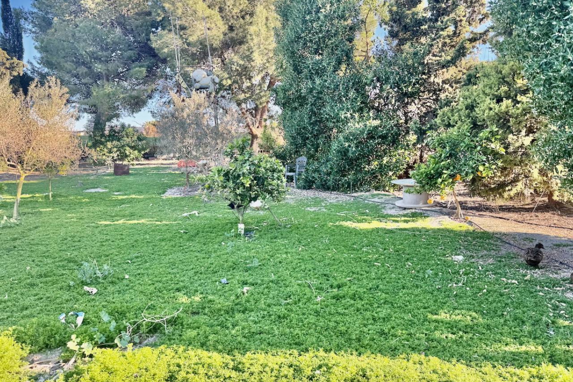 Revente - Country House - Guardamar del Segura