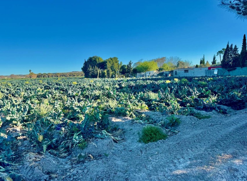 Revente - Country House - Guardamar del Segura