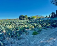 Revente - Country House - Guardamar del Segura