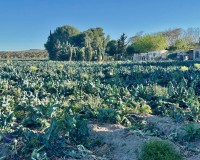 Revente - Country House - Guardamar del Segura