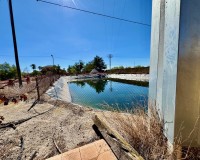 Revente - Country House - Los Montesinos