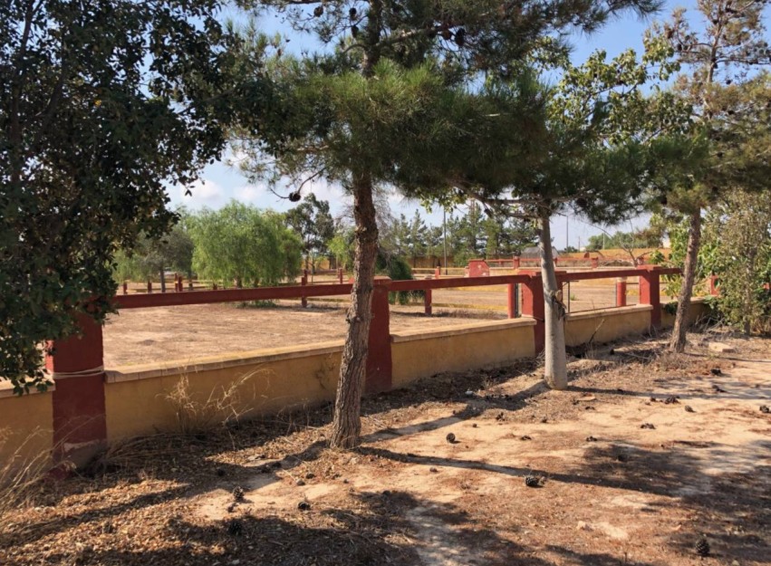 Revente - Country House - Los Montesinos