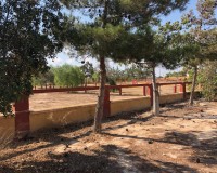 Revente - Country House - Los Montesinos