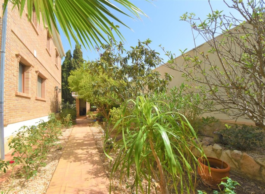 Revente - Villa - Ciudad Quesada - Urbanizaciones