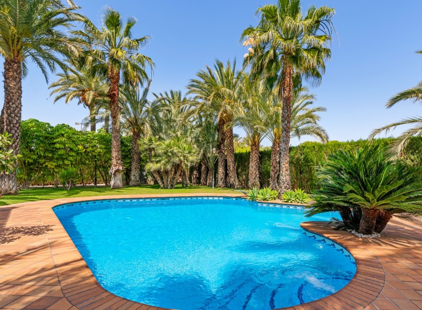 Revente - Villa - Elche