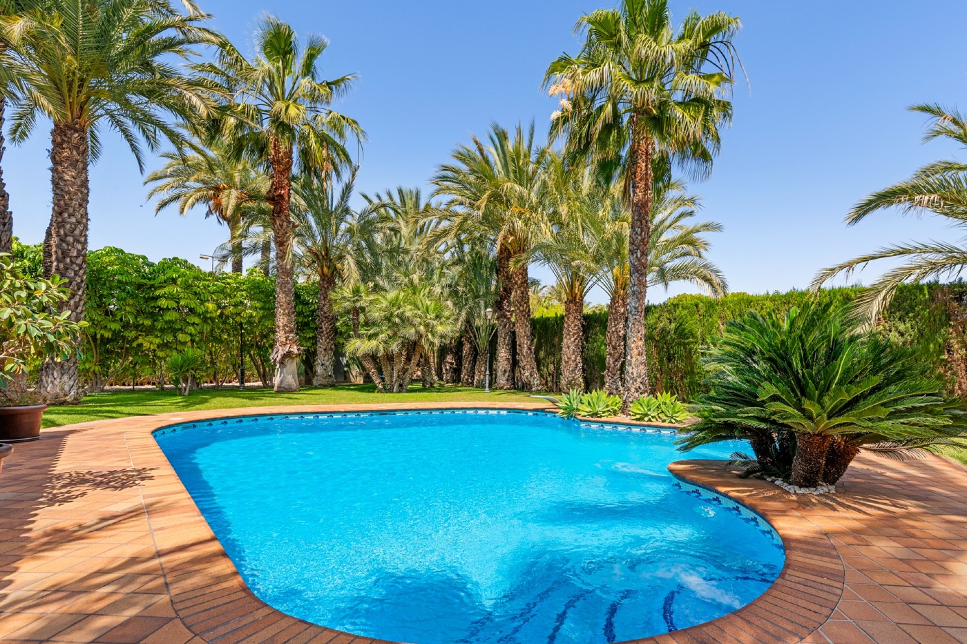 Revente - Villa - Elche
