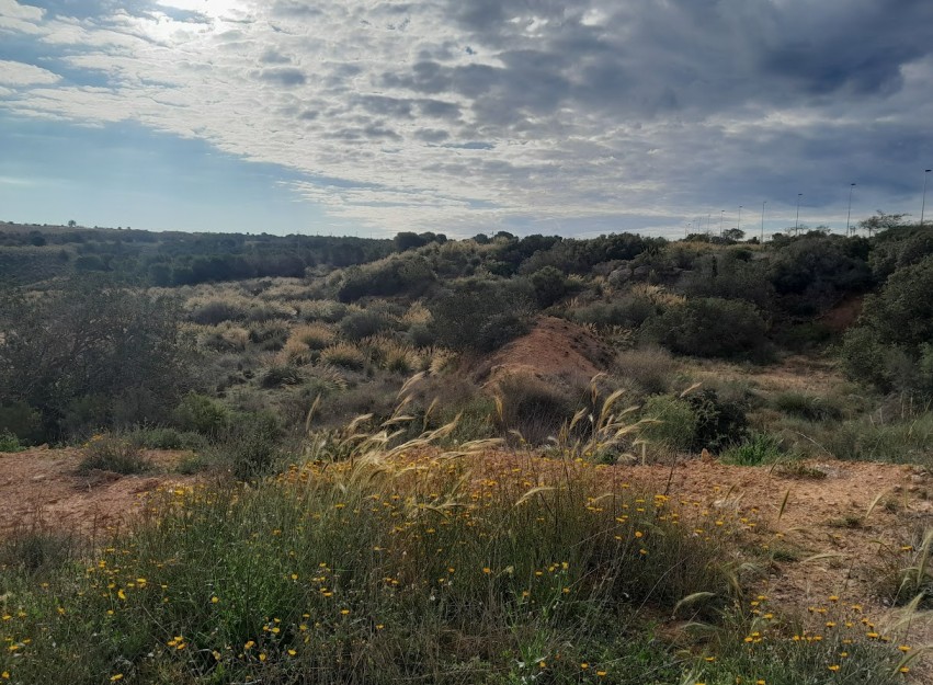 Revente - Villa - Gran Alacant