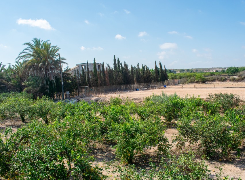 Revente - Villa - Guardamar del Segura - El Raso