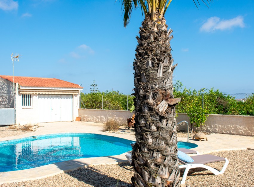 Revente - Villa - Guardamar del Segura - El Raso