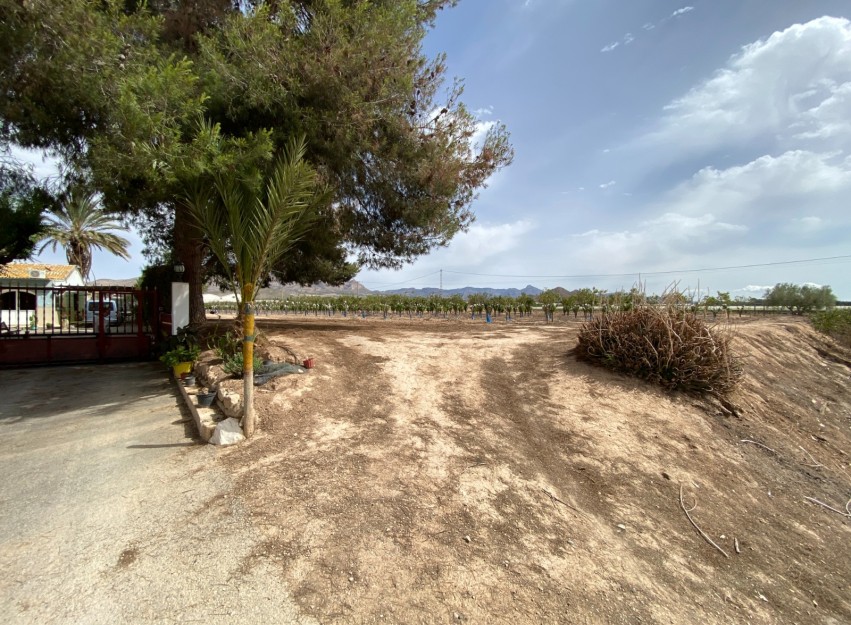 Revente - Villa - Monforte del Cid