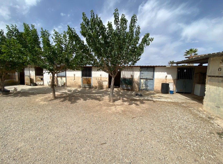 Revente - Villa - Monforte del Cid
