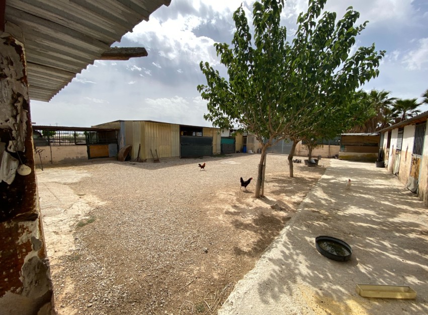 Revente - Villa - Monforte del Cid