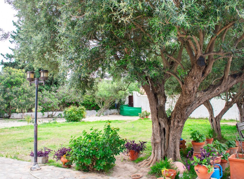 Revente - Villa - Orihuela Costa - Cabo Roig