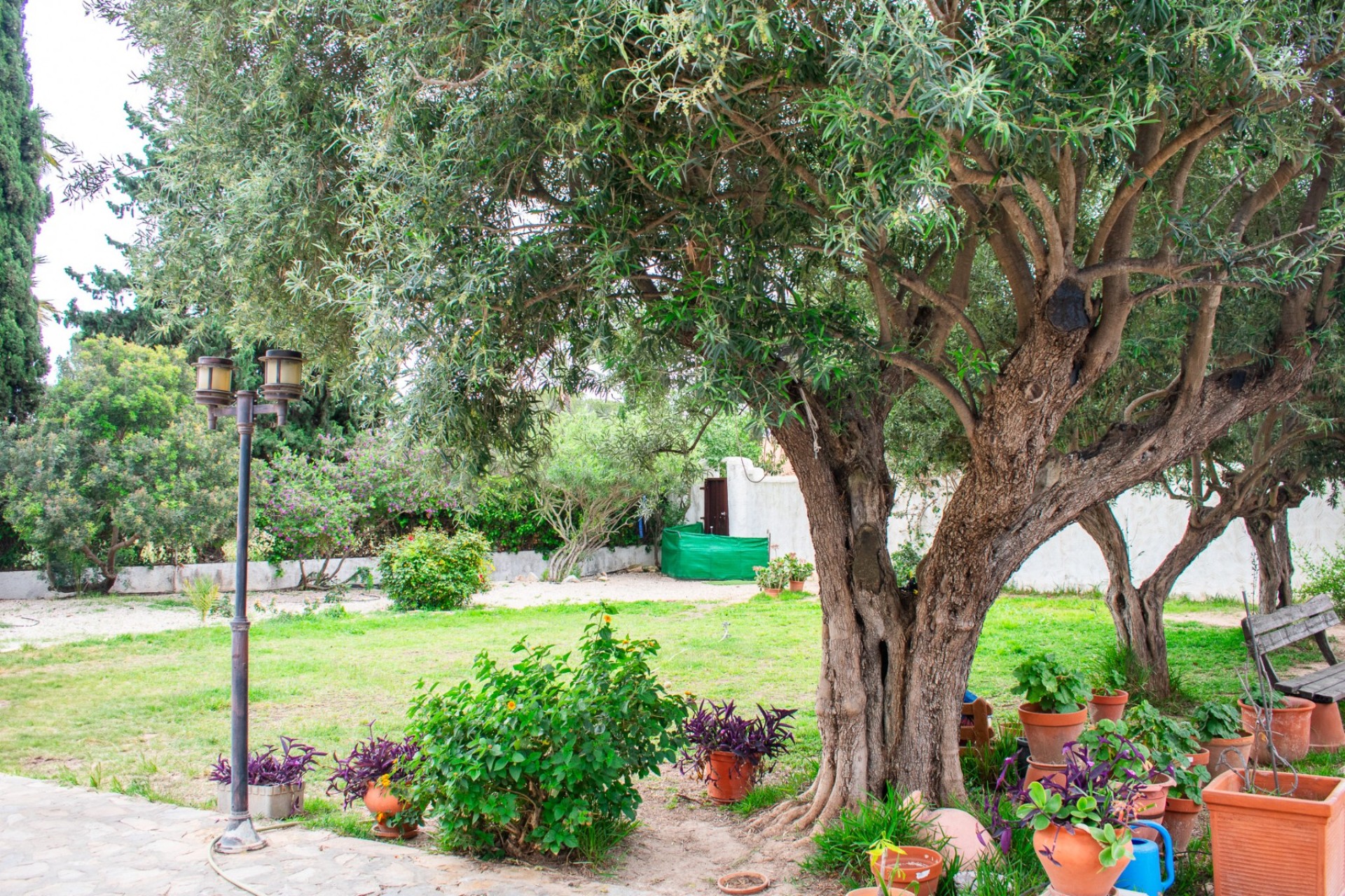 Revente - Villa - Orihuela Costa - Cabo Roig