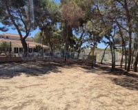 Revente - Villa - Torrevieja - Los Balcones
