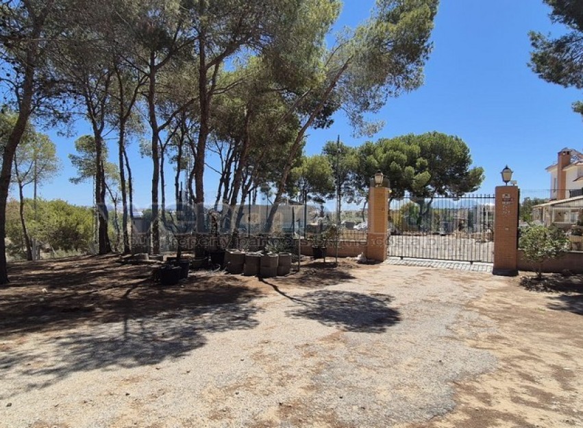 Revente - Villa - Torrevieja - Los Balcones