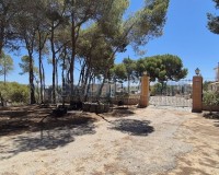 Revente - Villa - Torrevieja - Los Balcones