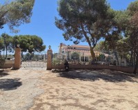 Revente - Villa - Torrevieja - Los Balcones