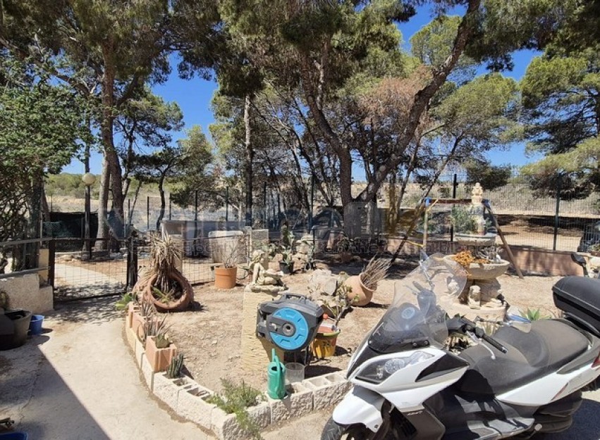 Revente - Villa - Torrevieja - Los Balcones