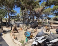 Revente - Villa - Torrevieja - Los Balcones