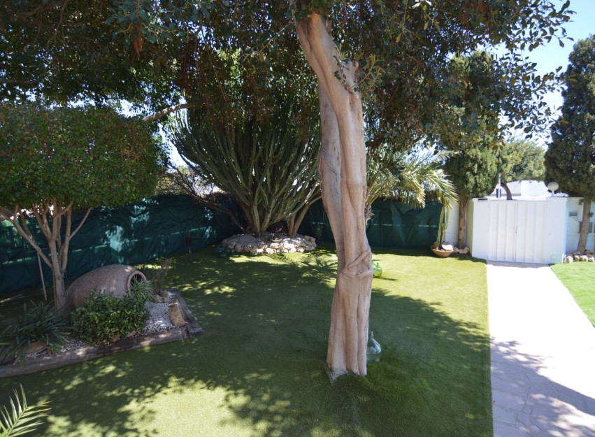 Revente - Villa - Torrevieja - Torreta