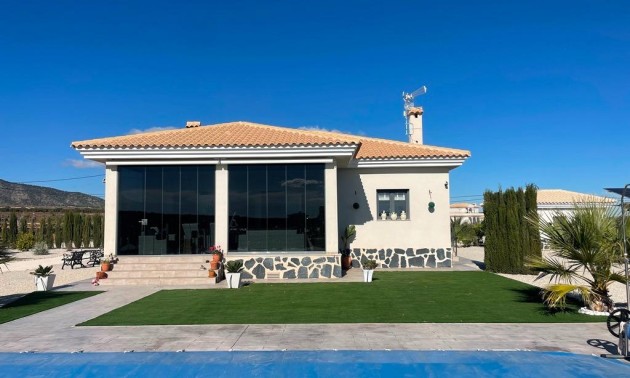 Villa - New Build - Pinoso - REDSP-72319