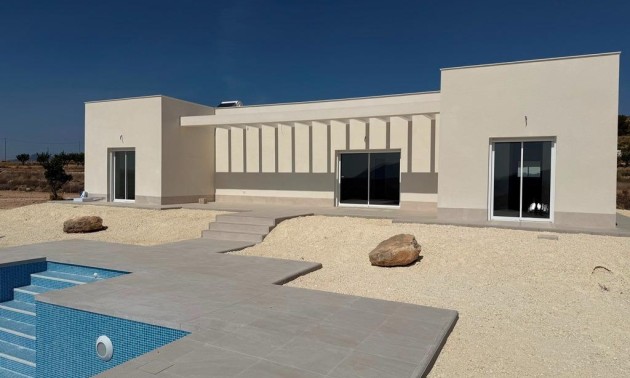 Villa - Nieuwbouw Woningen - Pinoso - Camino Del Prado