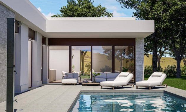 Villa - Nieuwbouw Woningen - Pinoso - Lel