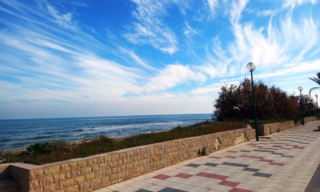 Villa - Revente - Oliva - MM-51929