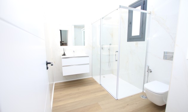 Nouvelle construction - detached - Pilar de la Horadada