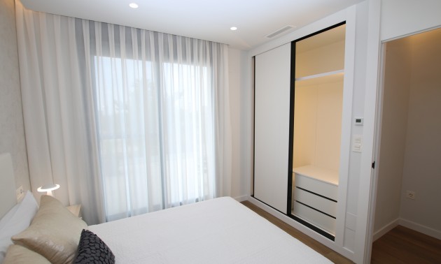 Nouvelle construction - detached - Pilar de la Horadada