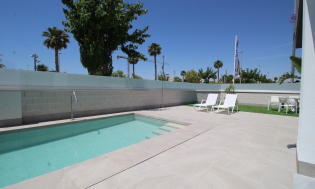 Nouvelle construction - detached - Pilar de la Horadada