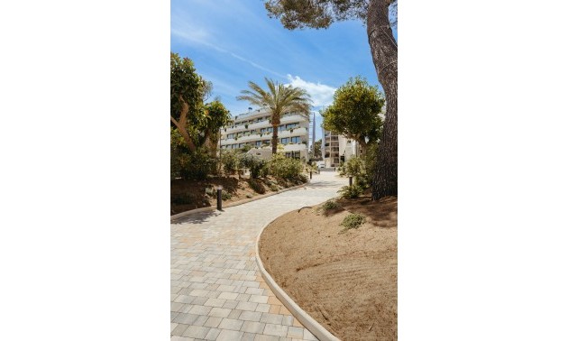 Nouvelle construction - ground-floor - Alfaz del Pi