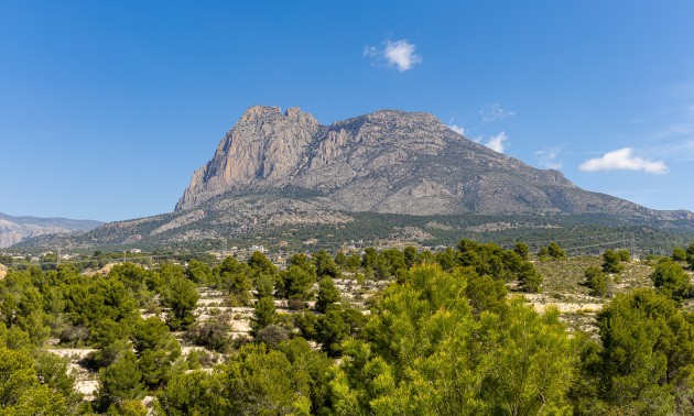 Nouvelle construction - detached - Finestrat