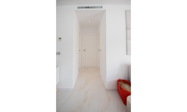 Nouvelle construction - detached - Pinar de Campoverde