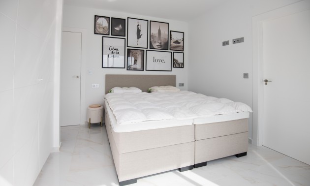 Nouvelle construction - detached - Pinar de Campoverde