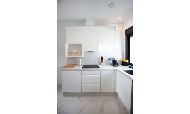 Nouvelle construction - detached - Pinar de Campoverde