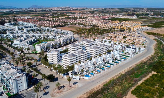 Nouvelle construction - Apartment - Guardamar del Segura