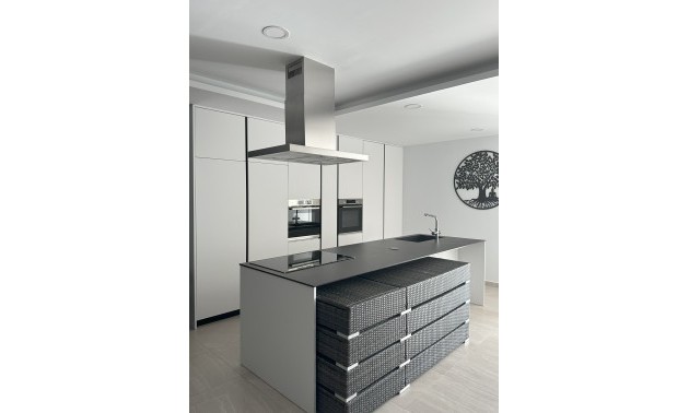 Nouvelle construction - detached - Pinoso