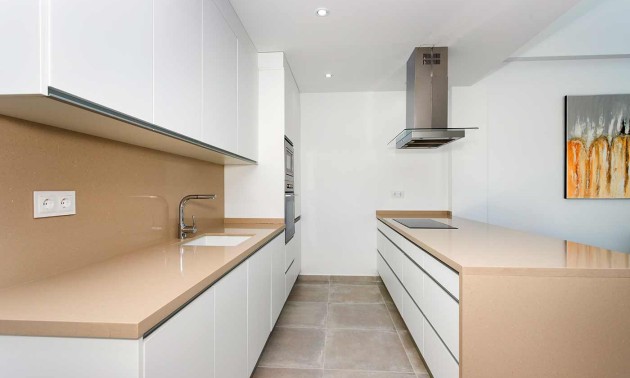 Nouvelle construction - detached - Daya Nueva