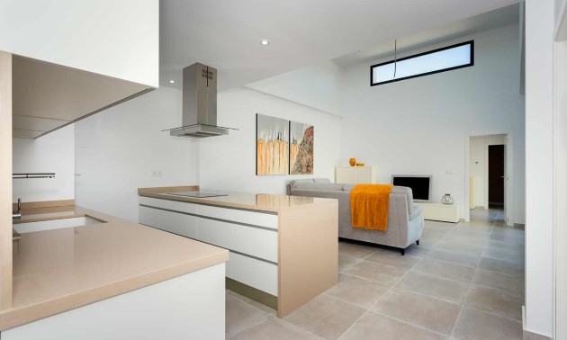 Nouvelle construction - detached - Daya Nueva