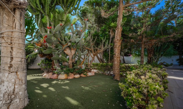 Herverkoop - Villa - Ciudad Quesada - Doña Pepa