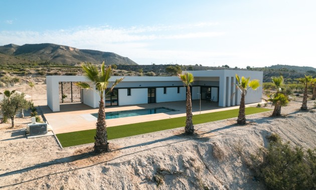 Nouvelle construction - detached - Pinoso