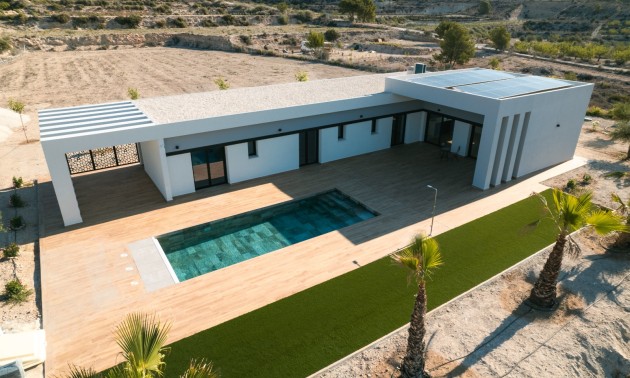 Nouvelle construction - detached - Pinoso