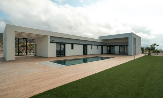 Nouvelle construction - detached - Pinoso