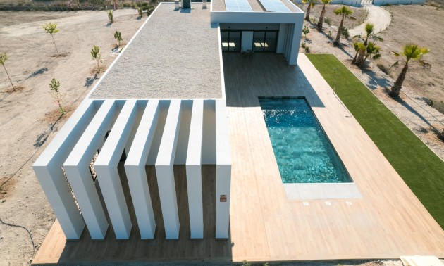 Nouvelle construction - detached - Pinoso