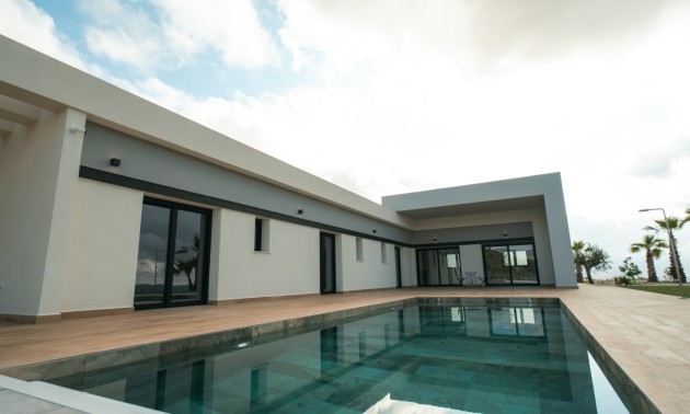 Nouvelle construction - detached - Pinoso