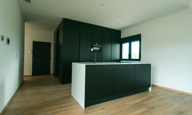 Nouvelle construction - detached - Pinoso