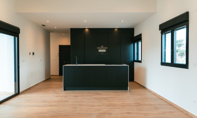 Nouvelle construction - detached - Pinoso