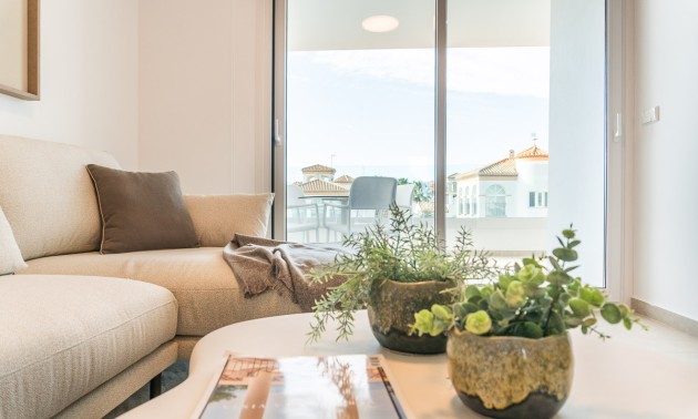 Nieuwbouw Woningen - Penthouse - Playa Flamenca